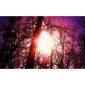 Kalesha McGraw's photo