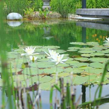 Ein Schwimmteich zum Verlieben