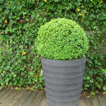 Jardin de ville