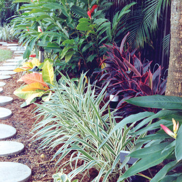 Tropical Landscape Border