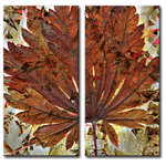 Ready2HangArt - Fall Ink VII, Canvas Wall Art 2-Piece Canvas Art Set, 20" - Inhale the aroma of a breezy autumn day when you add 'Fall Ink VII' to your interiors. Out-stretched hands of maple wave their crisp, delicate fingers, sparkling, entrancing you into a celestial daze. Handcrafted in the U.S.A., this gallery wrapped canvas art arrives ready to hang on your wall. Refine your space with an art piece from Ready2HangArt's Fall Ink collection, which will effortlessly bring a warm essence of autumn to any style of decor.