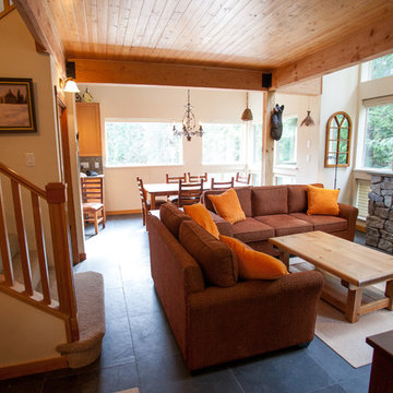 Whistler renovation