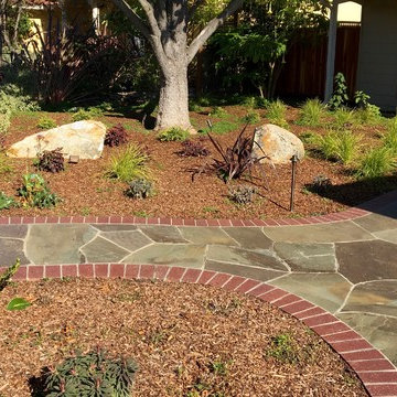 From Weeds to Welcome Home!