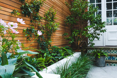 Photo of a small contemporary courtyard formal garden in London with with raised garden bed.