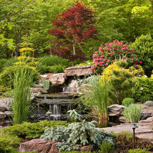 waterfalls