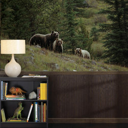 National Geographic Murals - Wall Decals