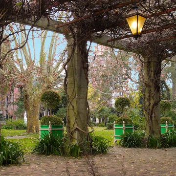 Versailles planter, Jardinier du Roi, French planters, orange tree planters Chat