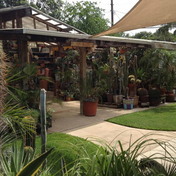 Miscellaneous Cacti & Succulent Landscapes by Rhinamic