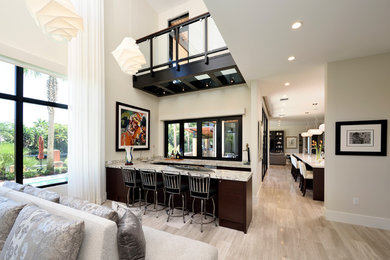 Contemporary/Transitional Home