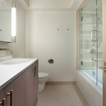 Glory Hole Condo Penthouse : Aspen, CO