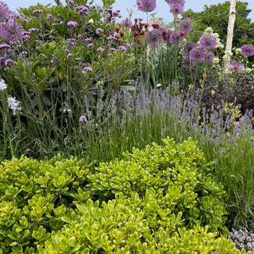 Spring Garden Border