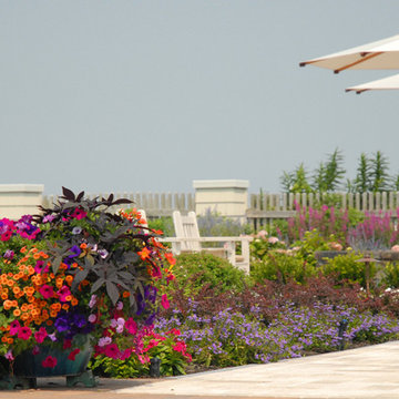 Annual Gardens and Containers