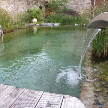 BioNova Natural Swimming Pools - International