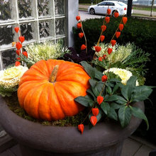 Fall