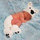 julie_hopfensperger