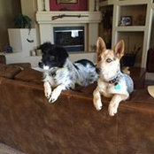 Deborah Pennington-Quick's photo