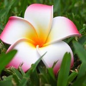 Sam Spain's photo