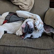 Karla Weist's photo
