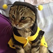 Claire Hartley's photo
