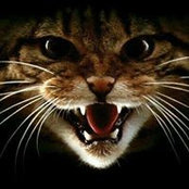Sandra Rinaldi's photo