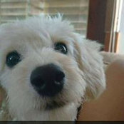 Isabel Benitez's photo