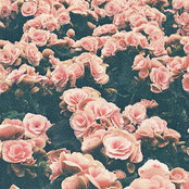 Melony's photo