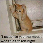 Kim Peters's photo