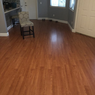 Sacramento Project 1 - Living Room Before