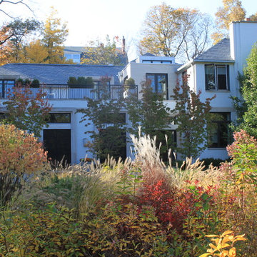 Architectural Moderne Landscape