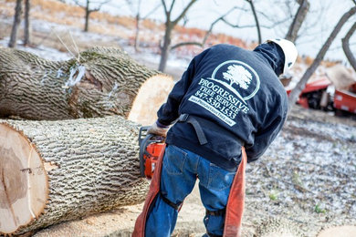 Tree Services