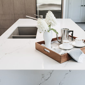 Modern Electric Kitchen_Delta Cedar Springs Home