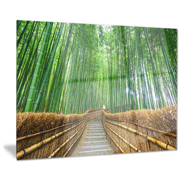 "Path to Bamboo Forest" Landscape Photo Glossy Metal Wall Art, 28"x12"