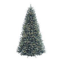 Christmas Trees