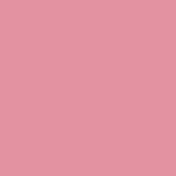 Jaipur Pink - Paint