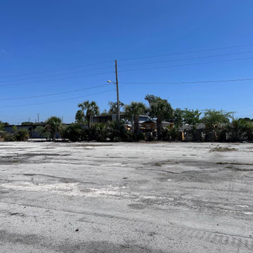 Commercial Landscape Clean- Up