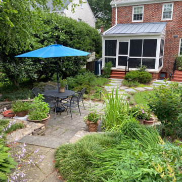 American University Park Rear Garden