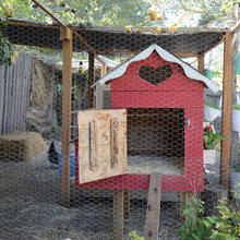 chicken coops