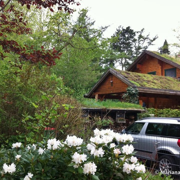 Wohldorf-Ohlstedt green roof near Hamburg, Germany