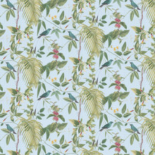 Fabrics: Multicolor