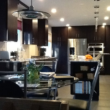 Contemporary Kitchen Remodel