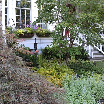 Estate Maintenance and Mixed Plantings