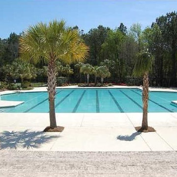 1612 Wallers Ferry Drive Mt. Pleasant SC 29466