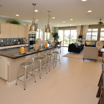 Desert Intrigue @ Vistancia | Peoria, AZ | 4093 - Discover