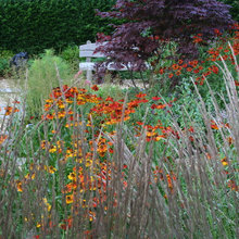 Coastal Gardens