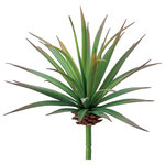 Silk Plants Direct - Silk Plants Direct Yucca Pick - Green Burgundy - Pack of 12 - Spruce up any dull corners of your home or office décor with the help of our Yucca Pick. Not only a desert landscape or a western theme, but our artificial cactus is an ideal decorative for any number and types of indoor landscapes. At 6.5", our faux cactus plants do not require constant upkeep.