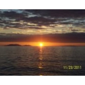Alice Ferrier's photo