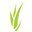 Greywater Irrigation - Grey4Green.Com