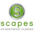 Scapes of North Florida's profile photo