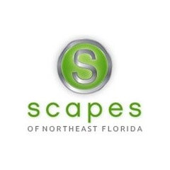 Scapes of North Florida