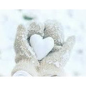 Lin Wilkinson's photo